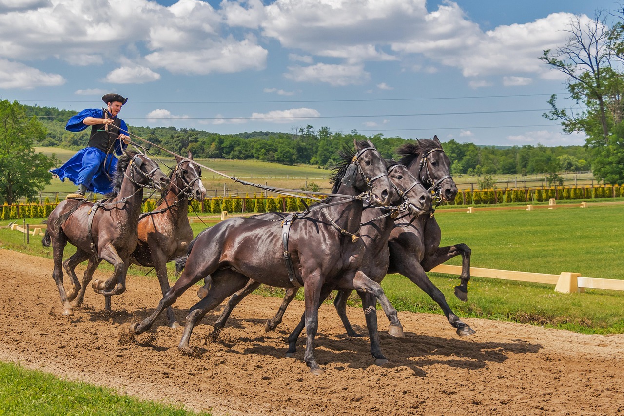 Official Best Odds for Horse Racing Free Play: Pro Tips to Win in India (2027)