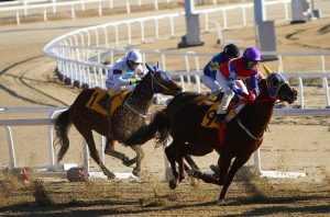 Free Best Odds for Horse Racing Ranked: Pro Tips to Win in India (2026)